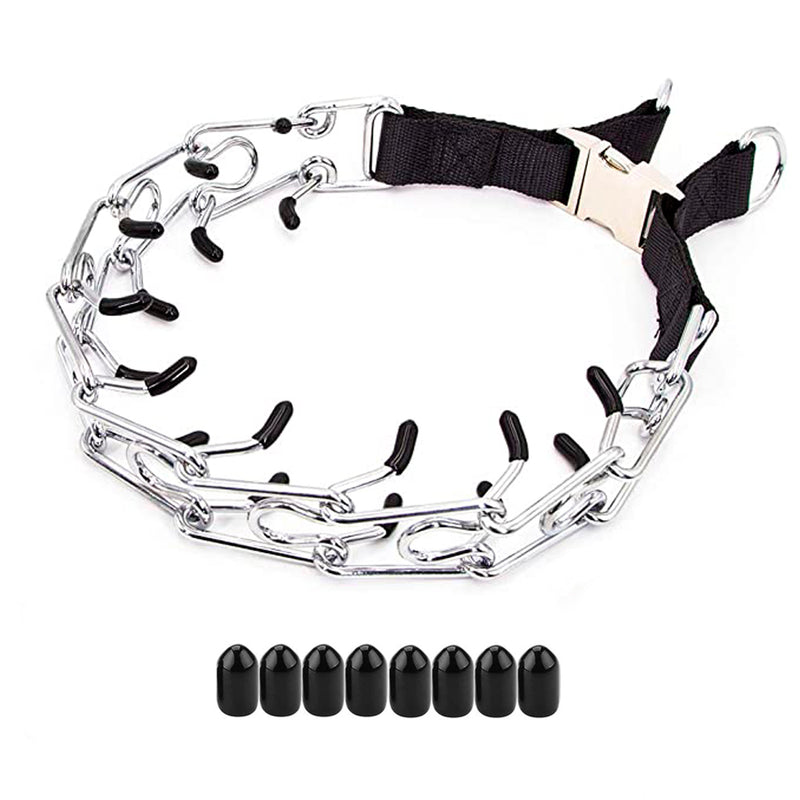 Dog Prong Collar