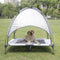 PEI JIA SUO Elevated Dog Bed with Removable Canopy